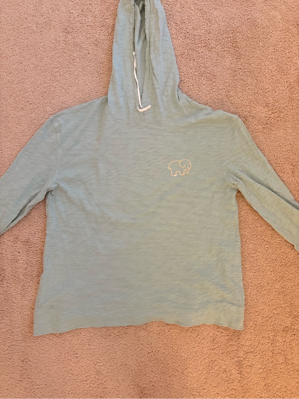 ivory ella sage green hoodie with elephant logo